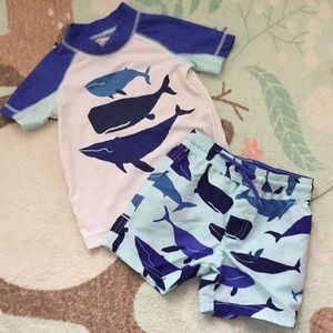 Whales bathing suit set